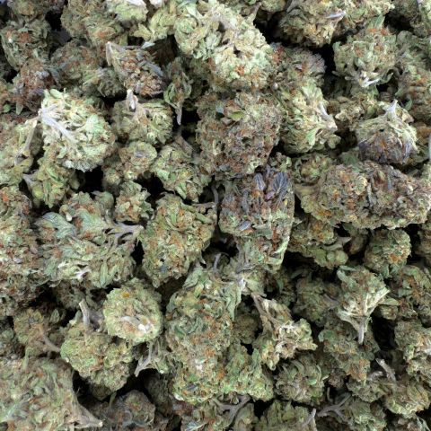 Head Band Flower - Hybrid - THCA - Thumbnail 2