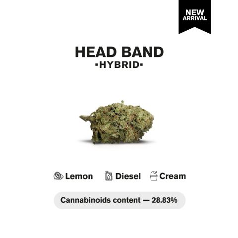 Head Band Flower - Hybrid - THCA - Thumbnail 4