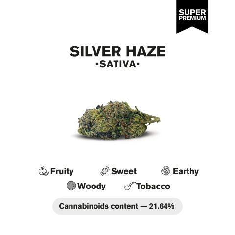 Silver Haze Flower - Sativa - THCA - Thumbnail 4