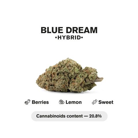 Blue Dream King Size Pre-Roll - Blue Dream Strain - 1.5g - THCA - 1 Joint - Thumbnail 5