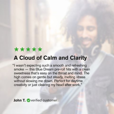 Blue Dream King Size Pre-Roll - Blue Dream Strain - 1.5g - THCA - 1 Joint - Thumbnail 9