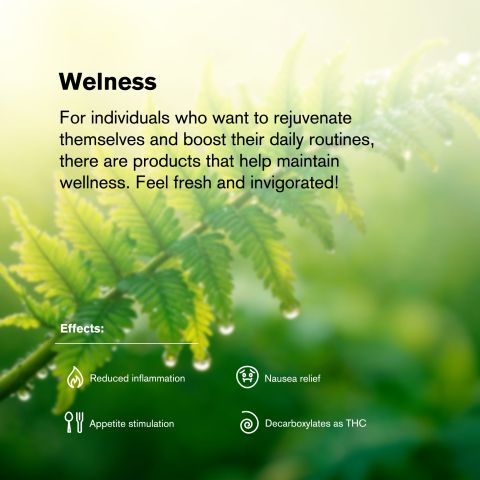 Black Runtz Flower - Hybrid - THCA - Thumbnail 6