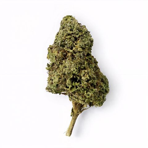 Godfather OG Flower - Hybrid - THCA - Thumbnail 1