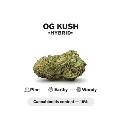 Runtz Mini Pre-Roll - Hybrid - 0.5g - THCA - 5 Joints - Thumbnail 5