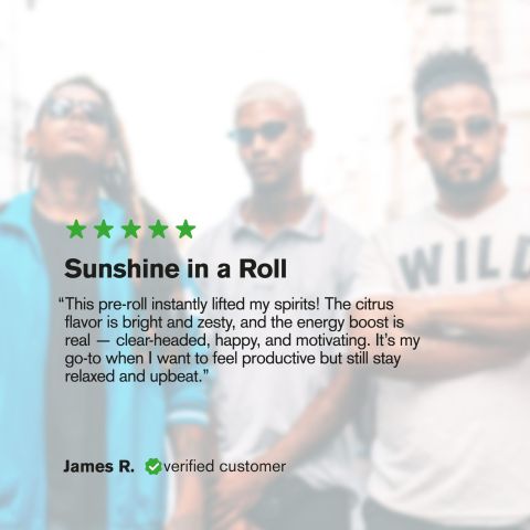 Super Lemon Haze Mini Pre-Roll - Sativa - 0.5g - THCA - 5 Joints - Thumbnail 10