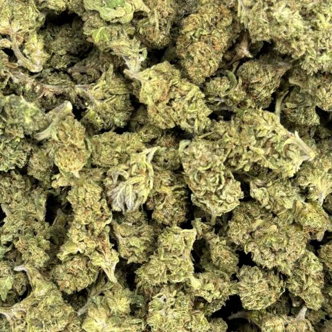 Red Congolese Flower - Sativa - THCA - Thumbnail 2