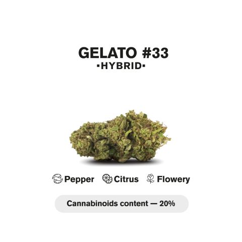 Gelato #33 King Size Pre-Roll - Hybrid - 1.5g - 1 Joint - THCA - Thumbnail 5