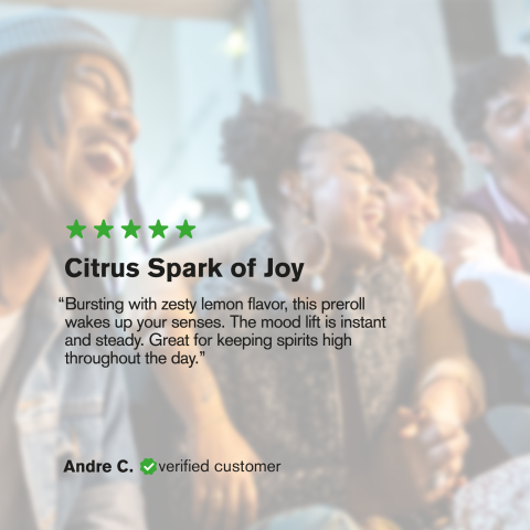 Lemon Skunk King Size Pre-Roll - Hybrid - 1.5g - 1 Joint - THCA - Thumbnail 9