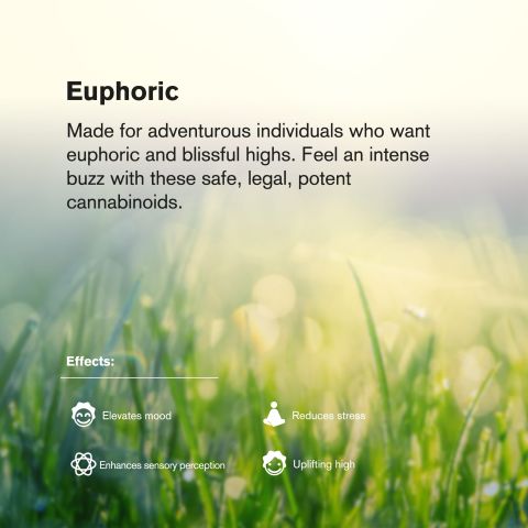 Candy Gelato Mini Pre-Roll - Hybrid - 0.5g - THCA - 5 Joints - Thumbnail 9