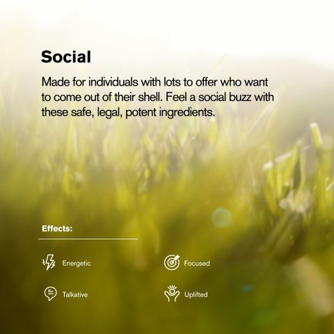 Strawberry Mimosa Flower - Sativa - THCA - Thumbnail 5