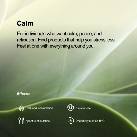 Mendo Breath Flower - Indica - THCA - Thumbnail 5