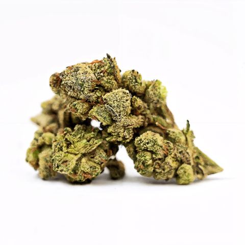 Gelato Haze Flower – Hybrid – THCA - Thumbnail 1