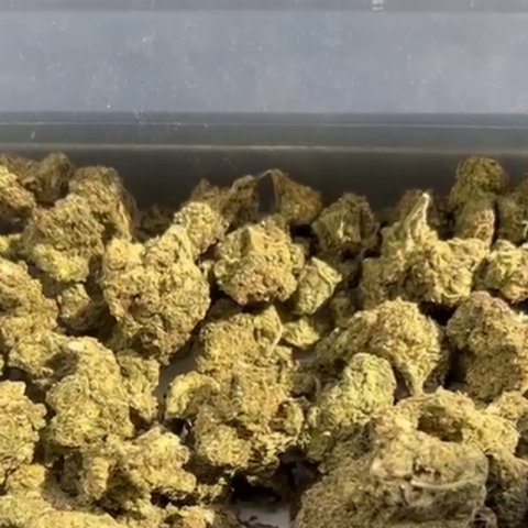 AK47 Flower - Hybrid - THCA - Video Thumbnail 1