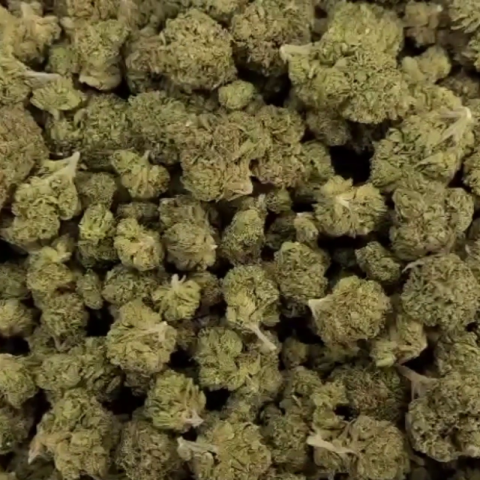 Cap Junky Flower - Indica - THCA - Video Thumbnail 1