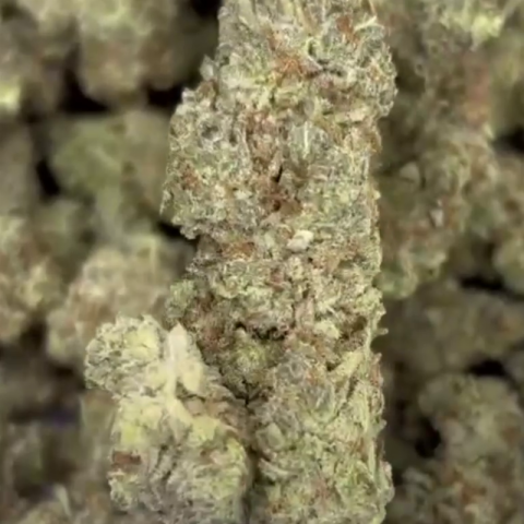 Dante's Inferno Flower - Hybrid - THCA - Video Thumbnail 1