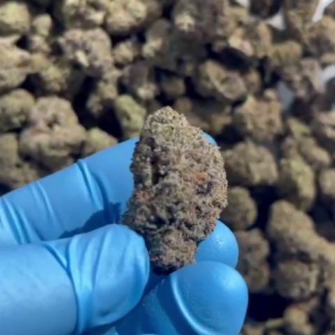 Ice Cream Cake Flower - Indica - THCA - Video Thumbnail 1