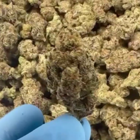G Flower - Sativa - THCA - Video Thumbnail 1