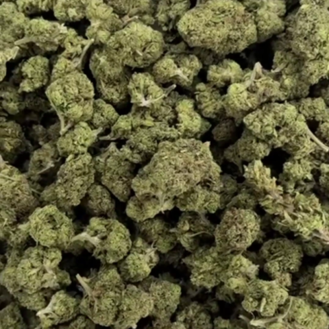 Godfather OG Flower - Hybrid - THCA - Video Thumbnail 1