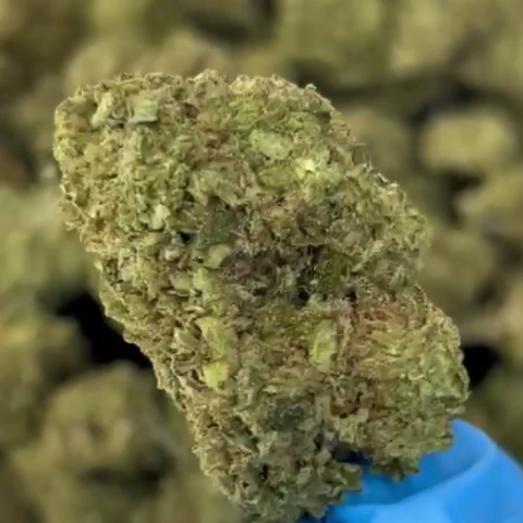 Green Apple Gas Flower - Sativa - THCA - Video Thumbnail 1