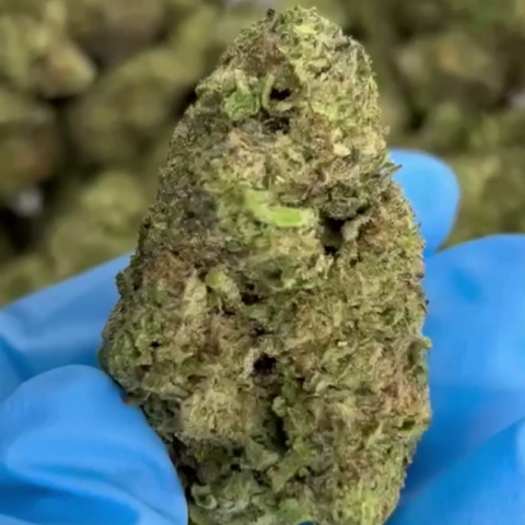 Gush Mintz Flower - Indica - THCA - Video Thumbnail 1