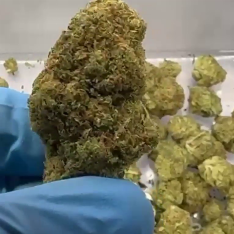 Heavy OG Flower - Hybrid - THCA - Video Thumbnail 1