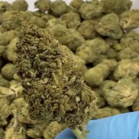 Illuminati Flower - Hybrid - THCA - Video Thumbnail 1