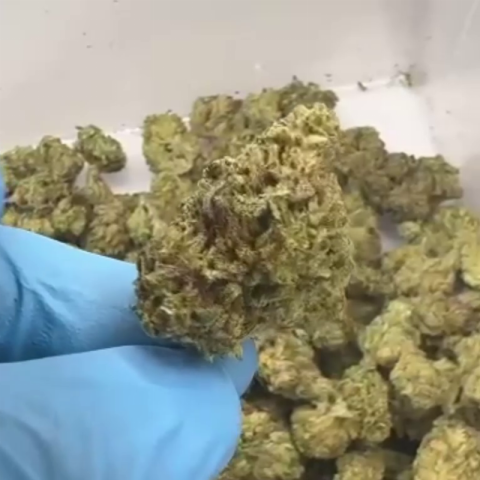 Jelly Cake Flower - Indica - THCA - Video Thumbnail 1