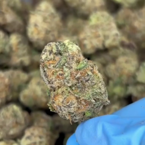 Lava Cake Flower - Indica - THCA - Video Thumbnail 1