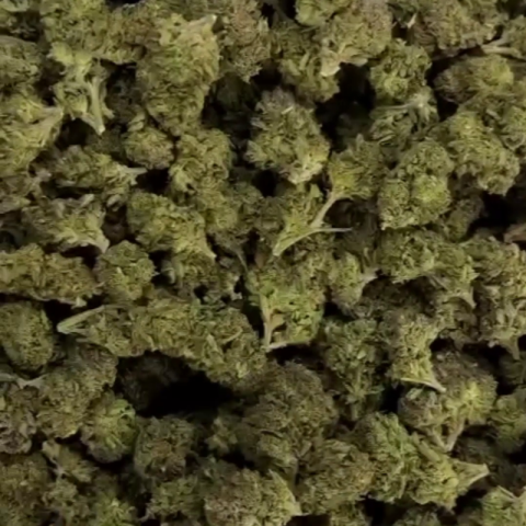 Lucky Flower - Indica - THCA - Video Thumbnail 1
