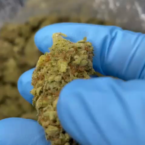 Ménage Flower - Indica - THCA - Video Thumbnail 1