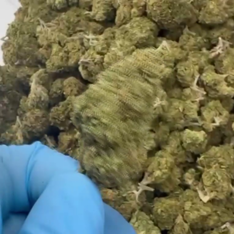 Pineapple Pizza Flower - Hybrid - THCA - Video Thumbnail 1