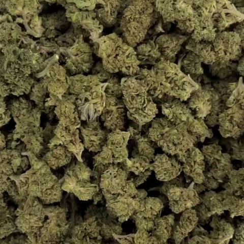 Red Congolese Flower - Sativa - THCA - Video Thumbnail 1