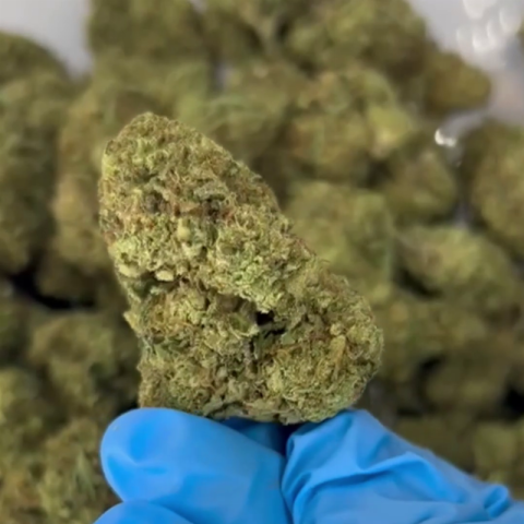 Secret Breakfast Flower - Hybrid - THCA - Video Thumbnail 1