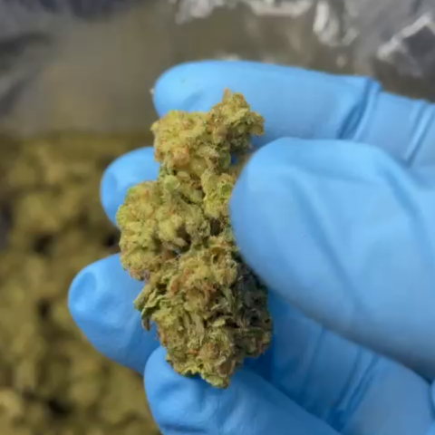 Wedding Pie Flower - Indica - THCA - Video Thumbnail 1