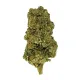 Black Cherry Gelato Flower - Indica - THCA